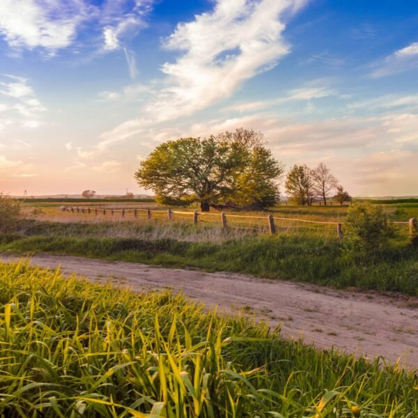 Campo Vacaciones Remotas