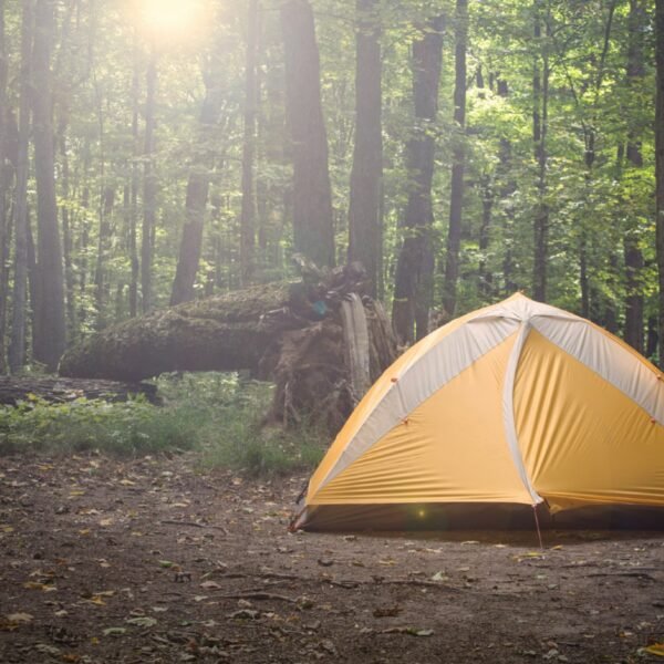 carpa Vacaciones Remotas